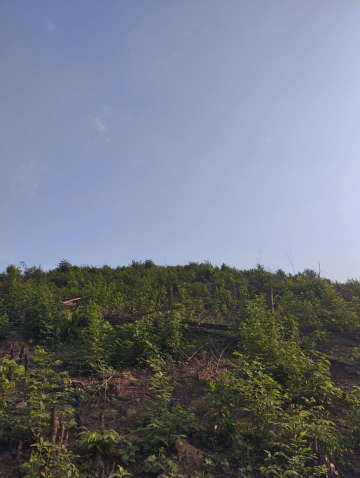 Đất vườn Thị trấn Khánh Vĩnh 6700m² giá 750 triệu - Đầu tư dài hạn!