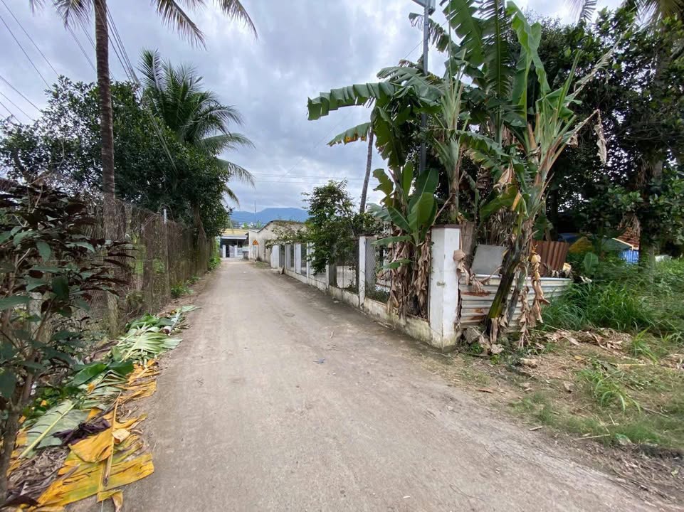 Đất nền Suối Cát 382m² - Sổ đỏ chính chủ, xây dựng tự do!