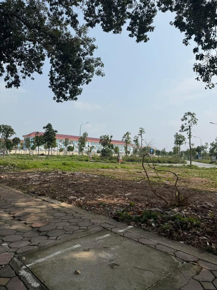 Đất Vạn Phúc Thanh Trì 40m² Sổ Đỏ Riêng - Đầu Tư Sinh Lời