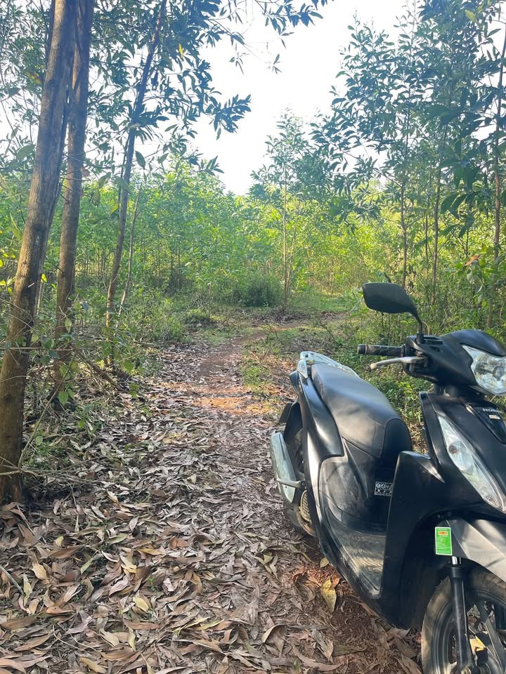 Bán đất Tân Tạo Bình Tân 360m² giá 700 triệu - Giá tốt hiếm có!