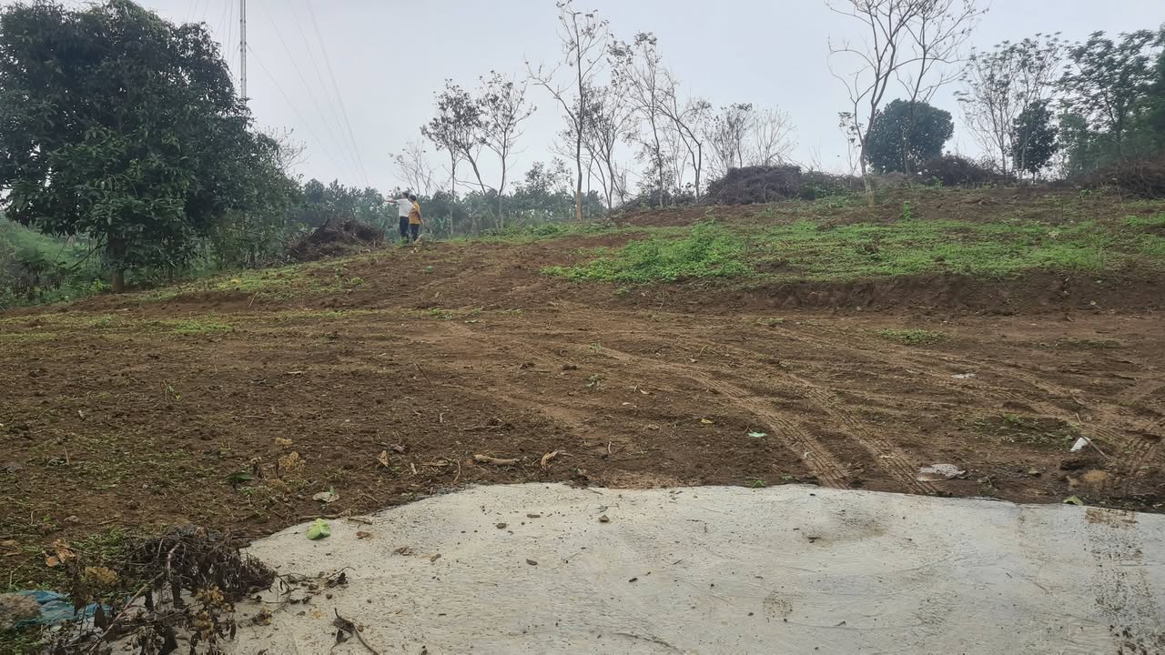 Đất vườn Hòa Sơn, Lương Sơn 5264m² - Nghỉ dưỡng lý tưởng!