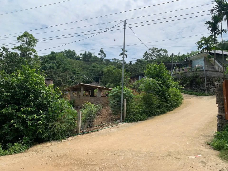 Đất nền Lương Sơn 668m² hơn 1 tỷ - Nghỉ dưỡng lý tưởng!