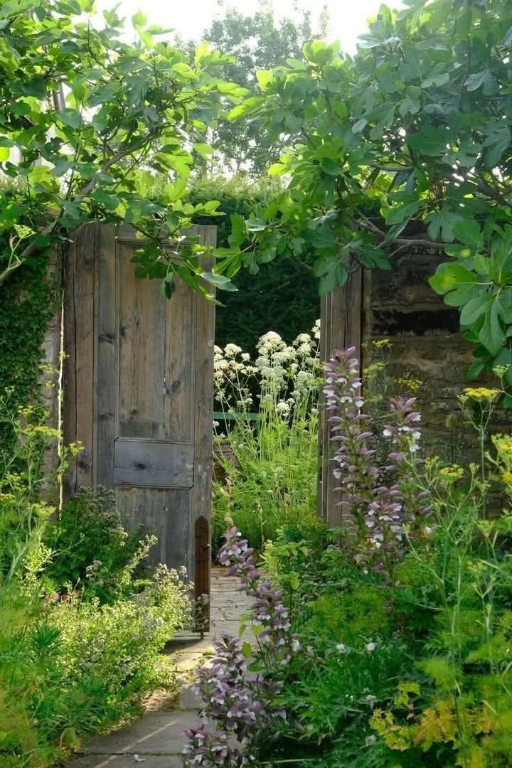 Đất nền Mỹ Phước 3, Bến Cát 300m² - Thổ cư 100% sẵn sàng xây dựng!