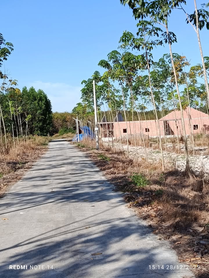 Đất nền Chơn Thành 300m² - Tiềm năng tăng giá vượt trội!