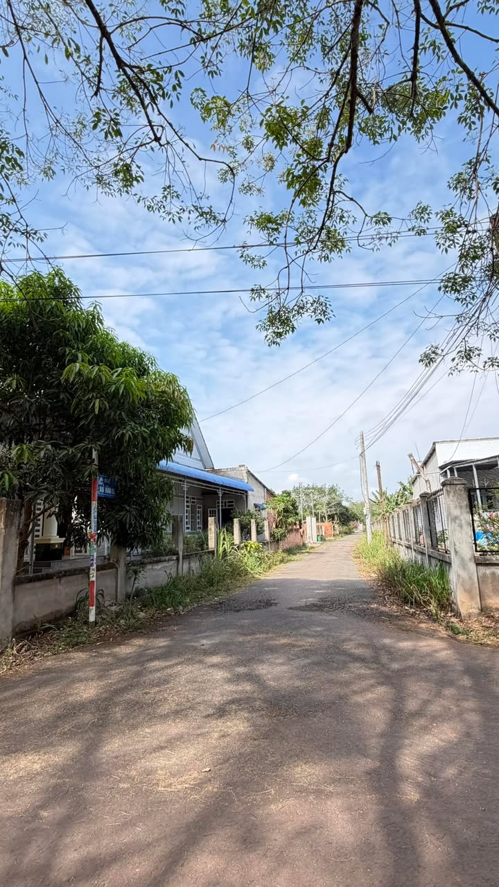 Đất Nền Phú Giáo 275m² Sẵn Sổ - 590 Triệu/Lô