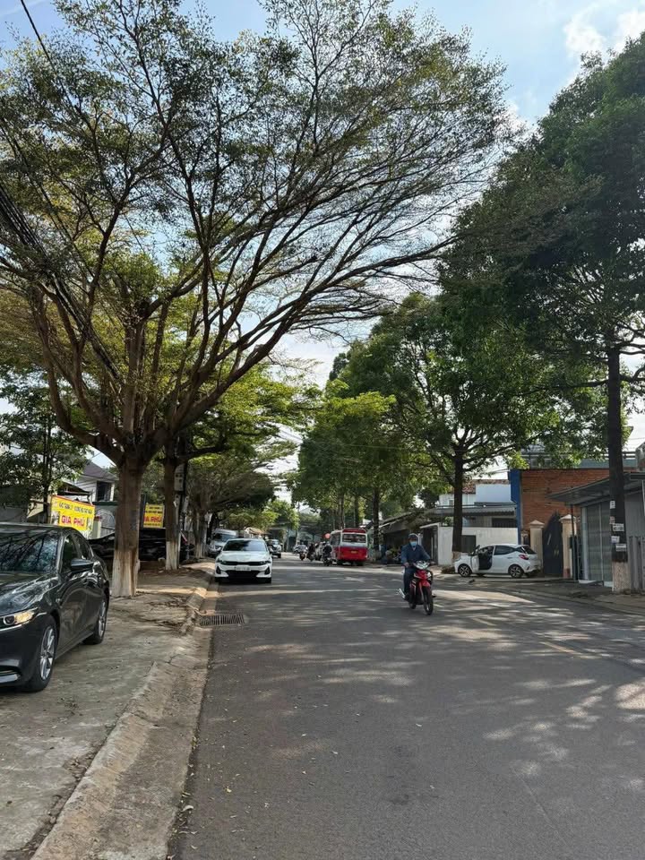Mặt Tiền Kinh Doanh Đường Y Ngông, BMT - 195m² Giá 7.2 Tỷ