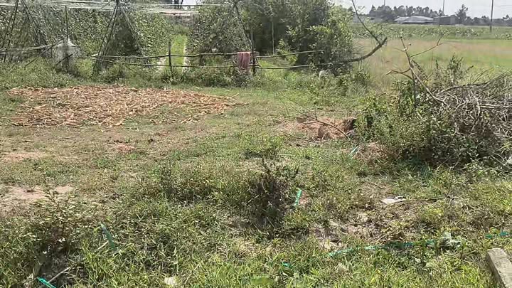 Bán Đất Vườn & Biệt Thự Mỹ Hạnh Bắc 650m²-975m² Giá Tốt Đầu Tư