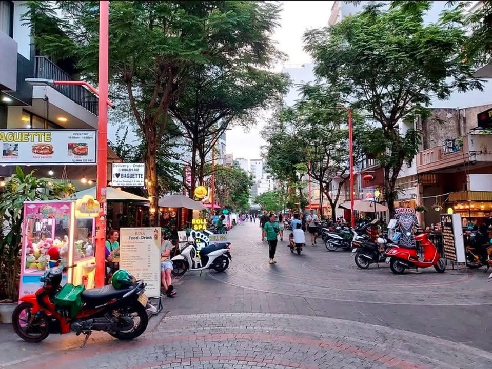 Vỉa hè Trần Bạch Đằng 60m² - Mặt tiền kinh doanh thu hút!