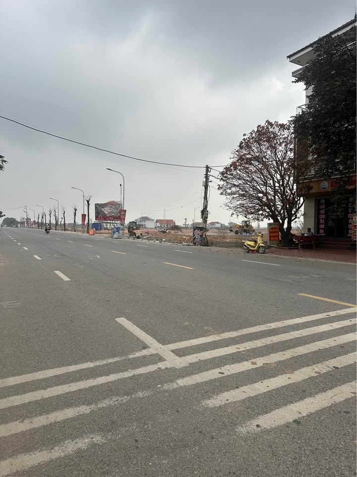 Đất nền Phúc Hòa 44m² - Giá 1.x Tỷ - Sổ Đỏ Sẵn Sàng Đầu Tư