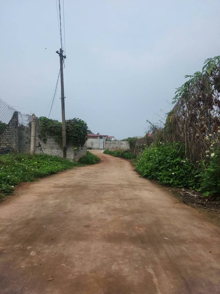 Đất nền Ngọc Sơn, Chu Điện, Lục Nam: 120m² giá chỉ từ 600 triệu - Cơ hội đầu tư hấp dẫn