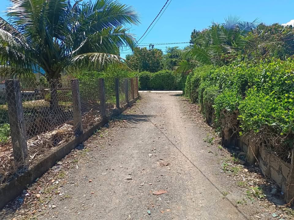 Đất nền Ninh Phụng 243m² giá 820 triệu - Sổ đỏ chính chủ!