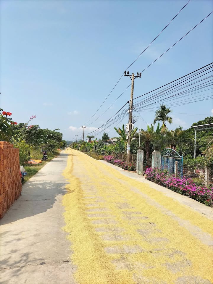 Nhà Vườn Bắc Ninh Hoà 350m² - Sổ đỏ chính chủ, đường ô tô 8m!