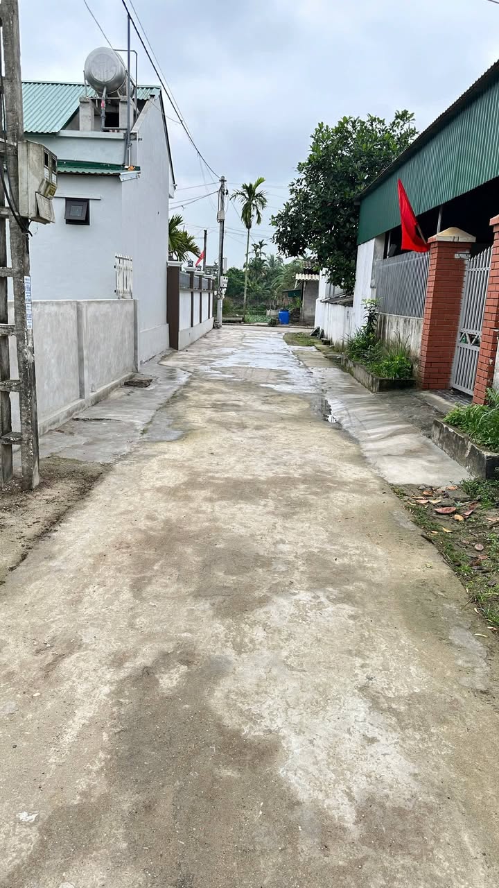 Đất Nền Xã Chí Minh, Tứ Kỳ 140m² - Giá 1 Tỷ, Ô tô vào tận nơi