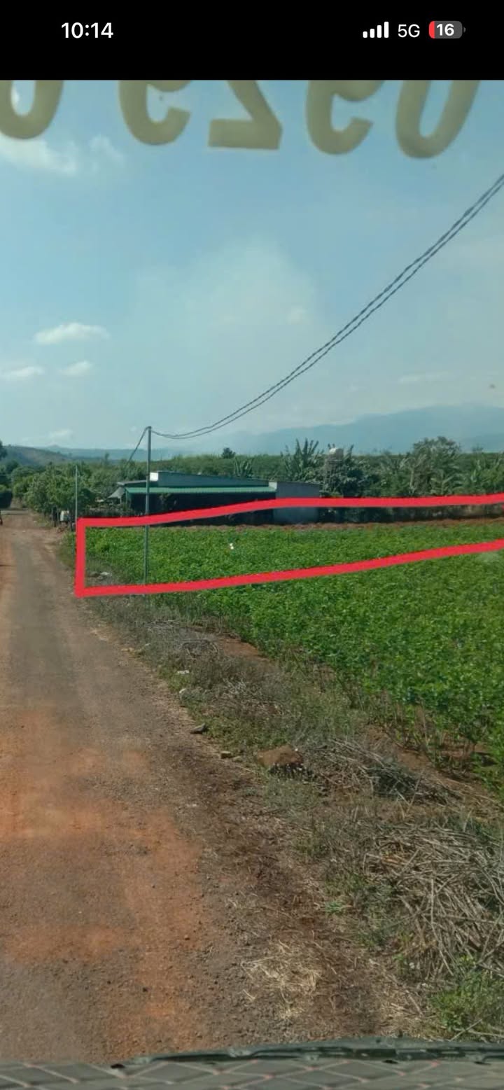 Đất nền Tân Hội Đức Trọng 1600m² giá 1.2 tỷ - Tiềm năng sinh lời cao!