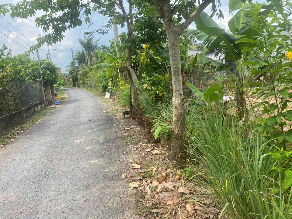 Đất Vườn Phường Tân Ngãi 1329m² - Nghỉ dưỡng lý tưởng, sổ hồng sẵn!