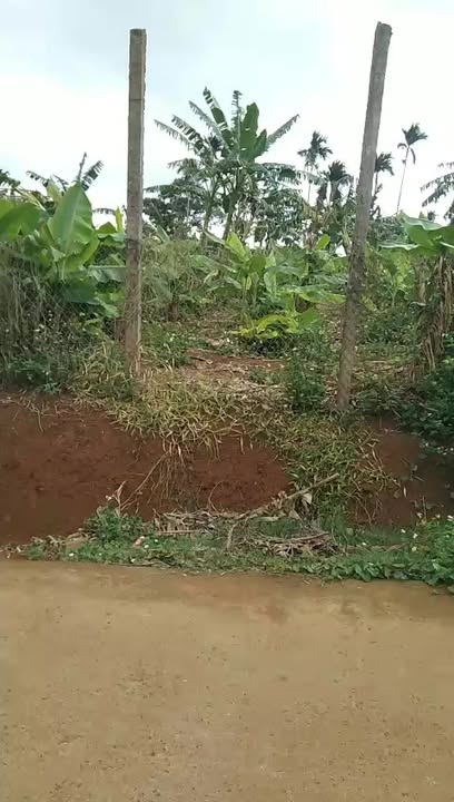 Đất nền Phú Xuân 520m² giá 950 triệu - Pháp lý rõ ràng!