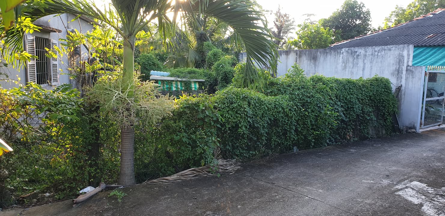 Đất nền Phường 5 Tân An 101m² - Sổ đỏ chính chủ, tiềm năng tăng giá!