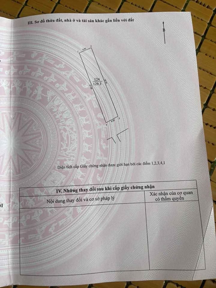 Đất nền Tây Bầu Đại Mạch 130m² - Tiềm năng tăng giá cực cao!