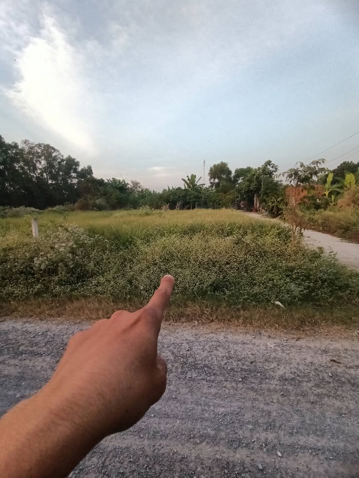 Đất Nền Đức Hòa 130m² - Sổ Hồng Chính Chủ, Giá Tốt Hiếm Có!