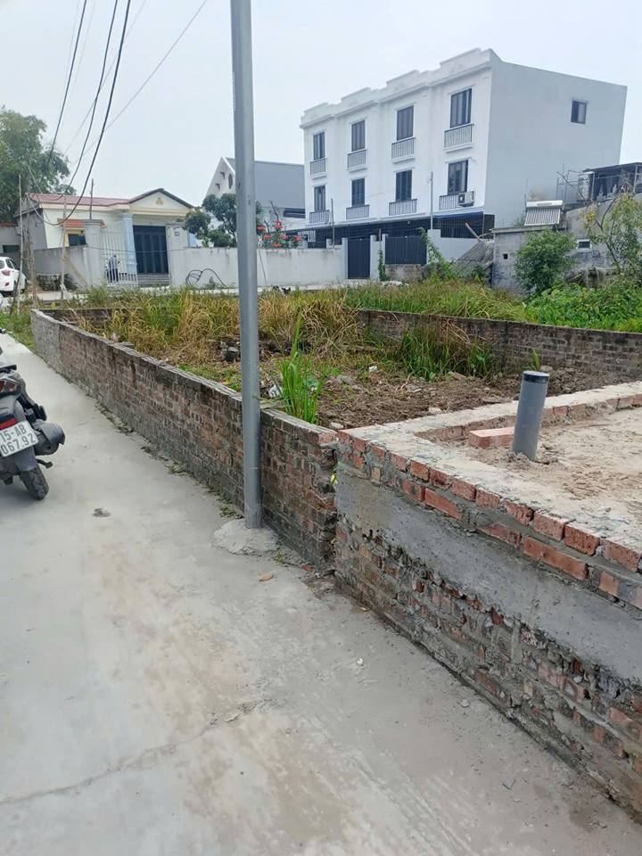 Nhà Phường Hồng Thái, An Dương 50m² - Kinh Doanh Sầm Uất, Ô Tô Đỗ Cửa