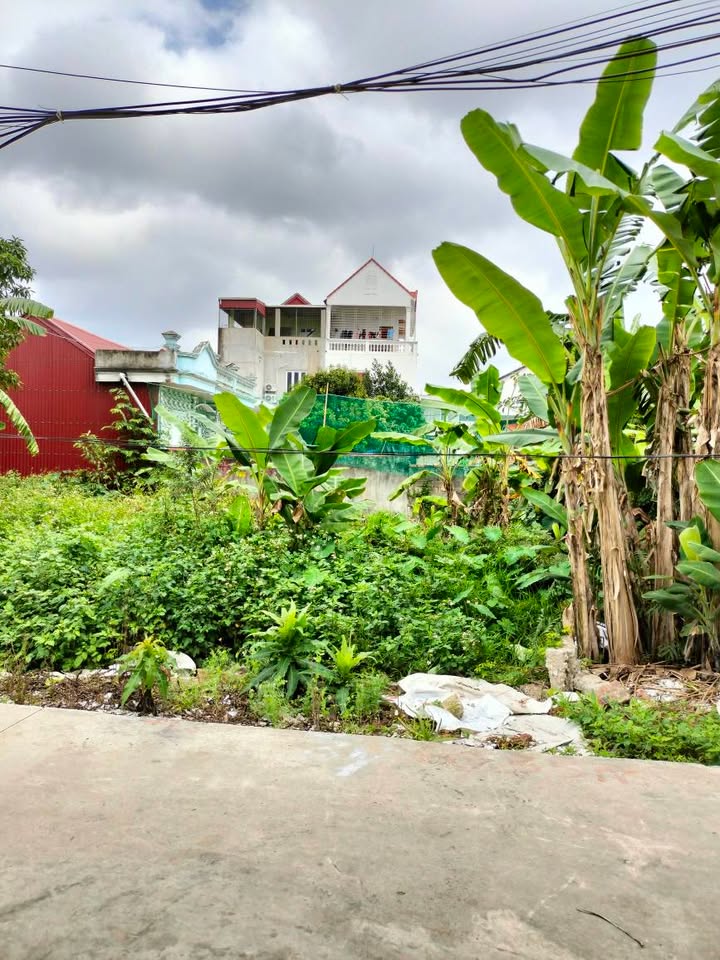 Đất nền Kiến An, Hải Phòng 60m² - Sổ đỏ, nở hậu, giá 1.38 tỷ