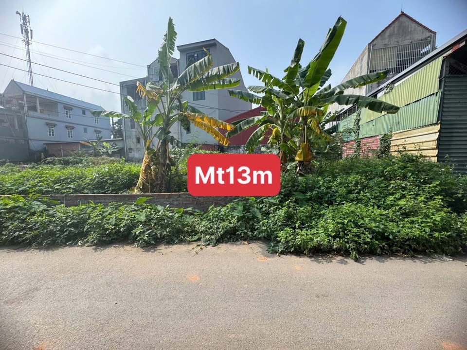 Đất nền Hợp Châu, Tam Đảo 216m² - Sổ đỏ chính chủ, tiềm năng sinh lời!