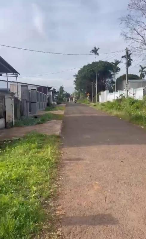 Đất nền Ea Drông 1500m² - Sổ đỏ chính chủ, đường nhựa rộng!