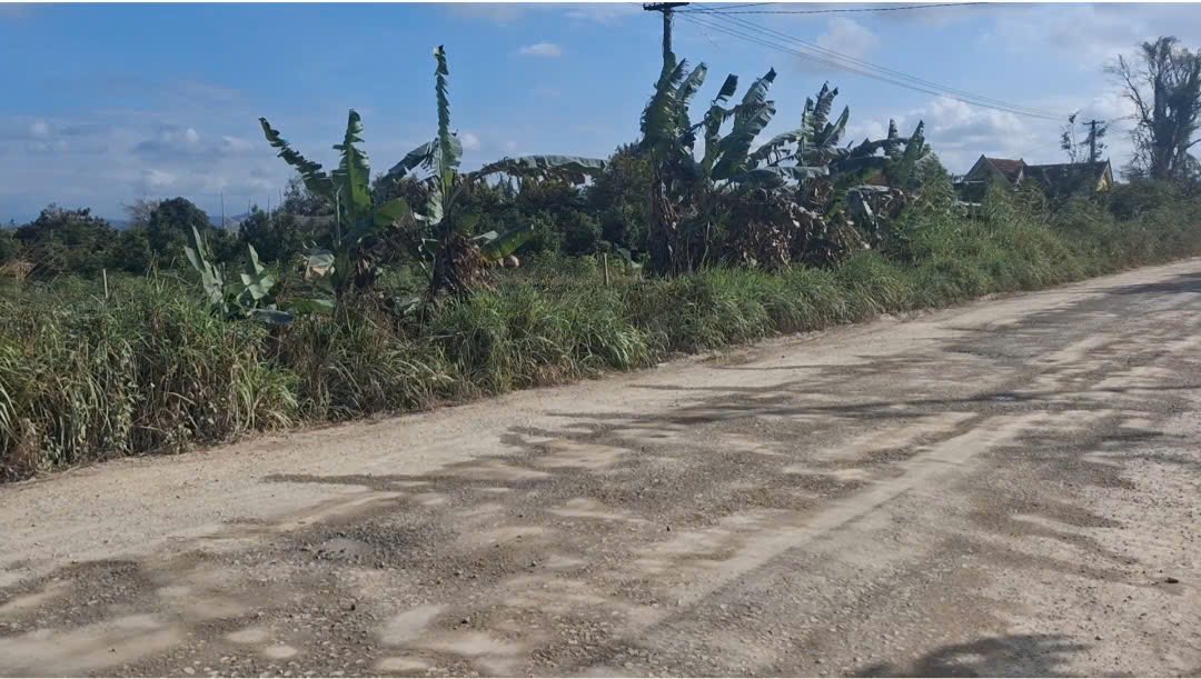 Đất nền Buôn Hồ 2ha giá 7.8 tỷ - Tiềm năng tăng giá vượt trội!