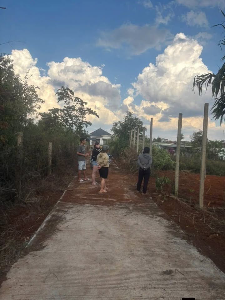 Đất Nền 295m² Full Thổ Cư Hẻm Trịnh Hoài Đức, Buôn Hồ - Giá 1.35 Tỷ