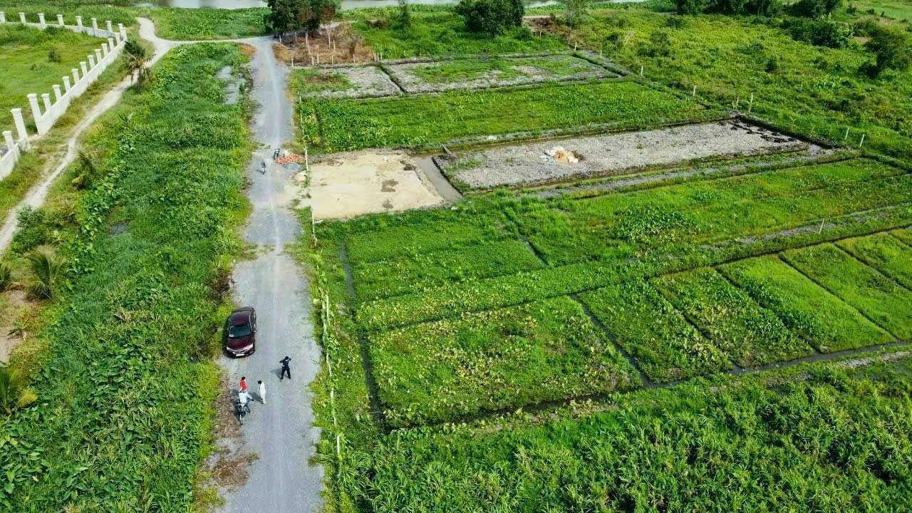 Đất vườn Bình Mỹ Củ Chi 1000m² 4.5 tỷ - Pháp lý rõ ràng