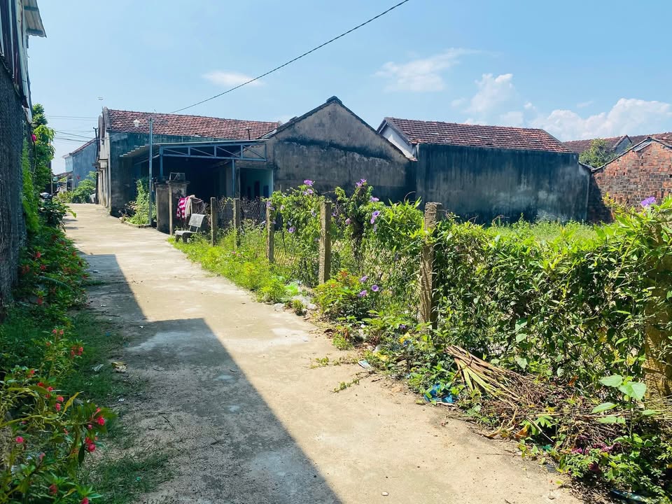 Đất nền Bình Hòa, Tây Sơn 157m² - Sổ đỏ chính chủ, pháp lý rõ ràng!