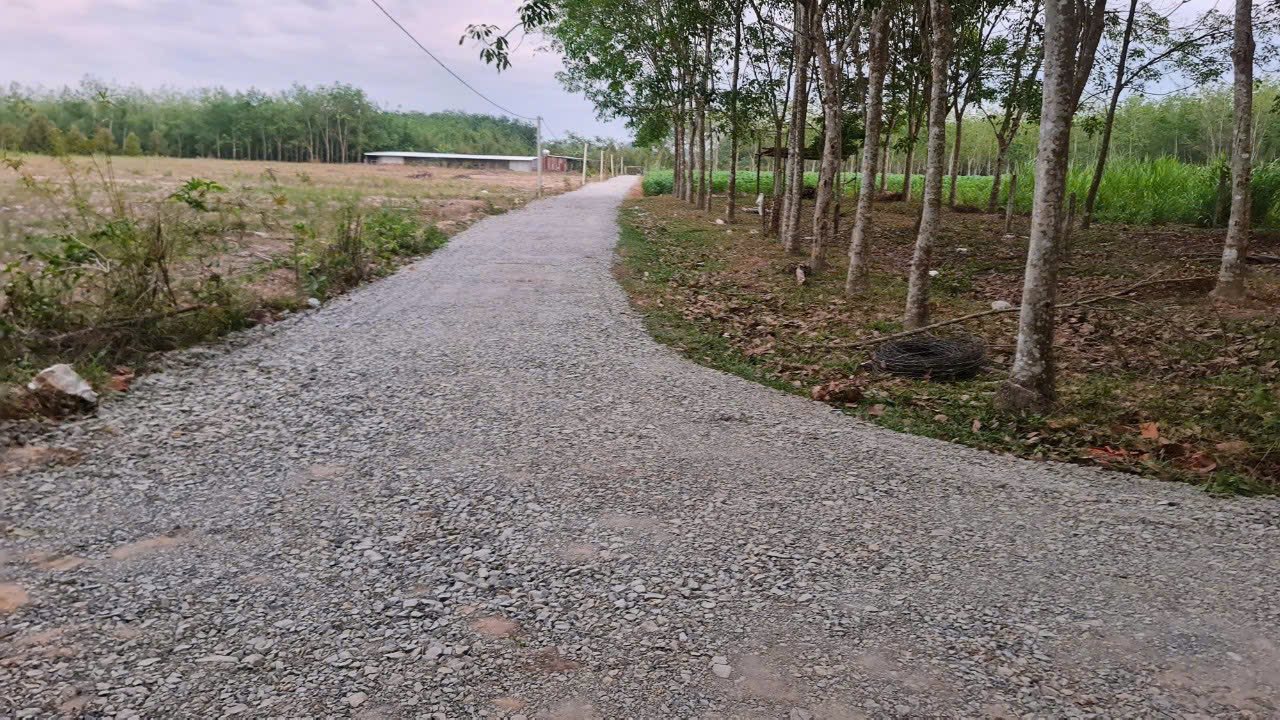 Đất nền Ấp Rộc B Thạnh Đức 675m² - Đất thổ cư 100%!