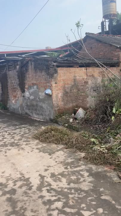 Đất nền Lạng Giang 100m² - Tiềm năng tăng giá vượt trội!