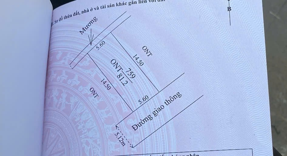 Đất nền Kim Tràng, Tân Yên 81.2m² - Sổ đỏ chính chủ, bán gấp!