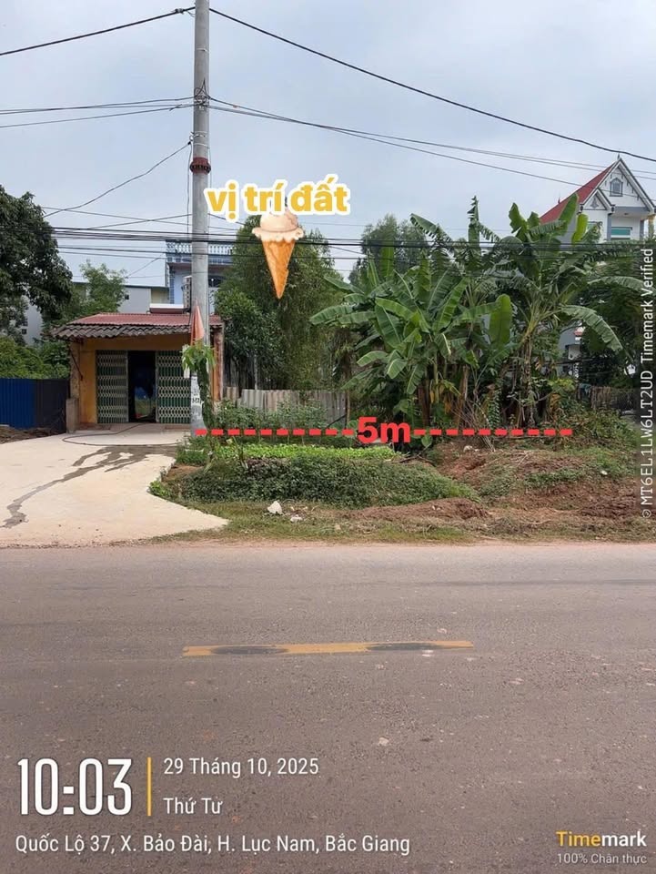 Đất Nền Lục Nam, Bắc Giang 100m² - Tiềm Năng Tăng Giá Vượt Trội!