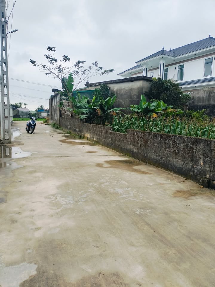 Đất nền Thôn Bình Danh Quảng Xương 230m² - Tiềm năng tăng giá vượt trội!