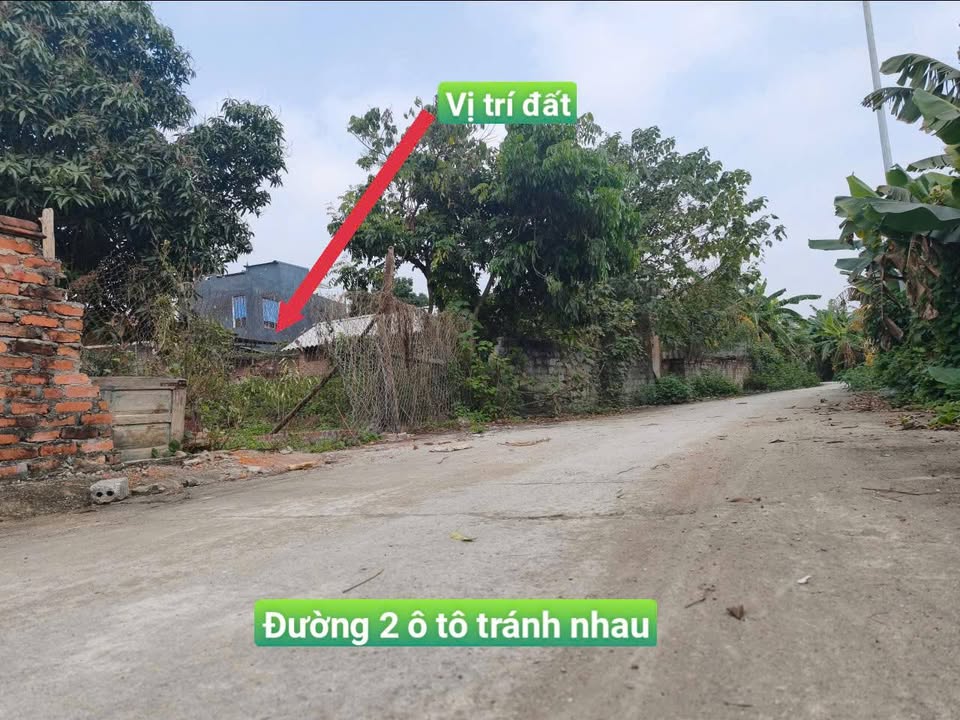 Đất nền Phú Ninh, Tam Dương 107.9m² 1.3 tỷ - Tiềm năng tăng giá vượt trội!