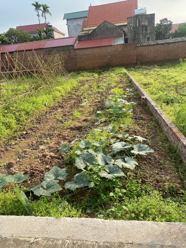 Đất nền KĐT Nam Sông Đuống 86.5m² - Đầu tư sinh lời tại Bắc Ninh