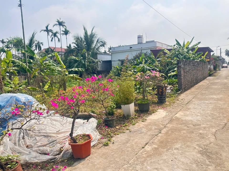 Bán Đất Vĩnh Bảo, Hải Phòng 500m² Hướng Bắc - Sổ Đỏ Rõ Ràng