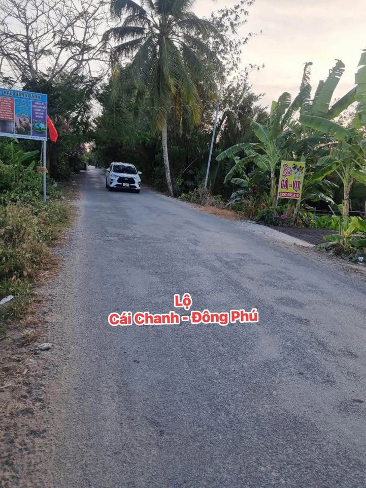 Đất nền Cần Thơ 225m² giá 1.25 tỷ - Sổ hồng sẵn, xây ở ngay!