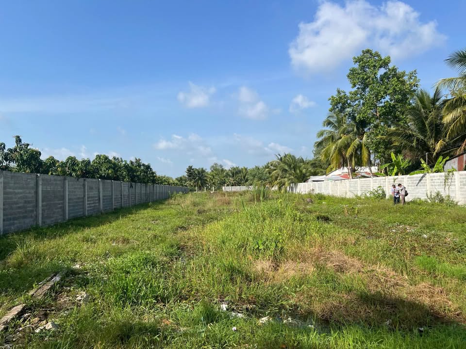 Đất vườn Phường 3, TP Vĩnh Long 3339m² - Nghỉ dưỡng lý tưởng!