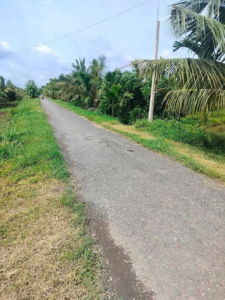 Đất ruộng 1000m² mặt tiền 40m, đường nhựa 5tân, Vĩnh Long - Giá 550 triệu