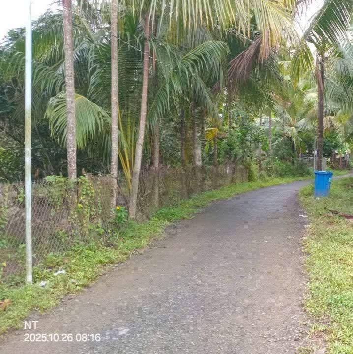 Đất Nền Tam Bình Vĩnh Long 100m² - Sổ Sẵn, Giá 199 Triệu