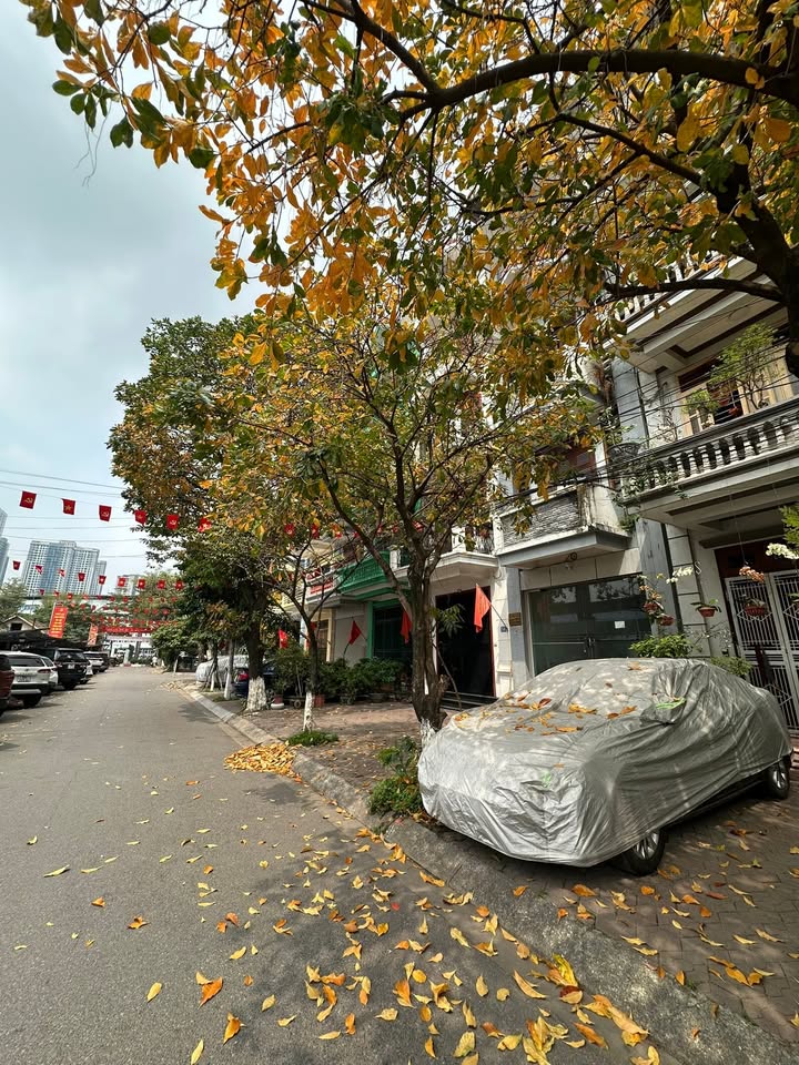 Nhà Phân Lô Cầu Giấy 55m² - 2 Mặt Tiền Ô Tô Tránh, Kinh Doanh Đỉnh Cao