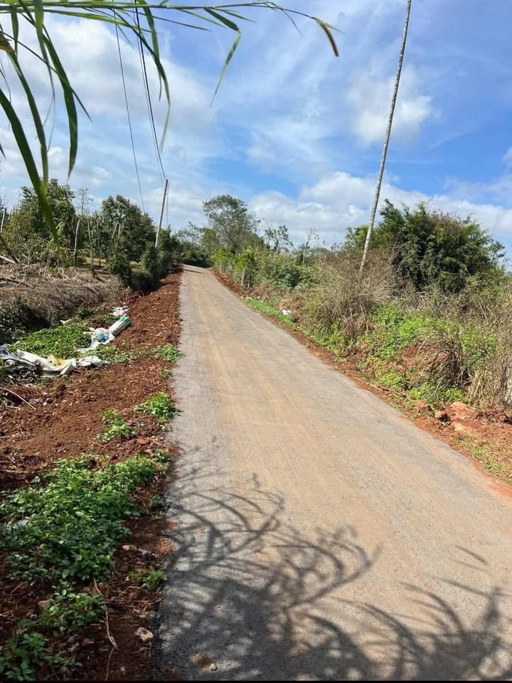 Đất nền Krông Nô 1260m² - Đường to ô tô, mặt tiền 70m