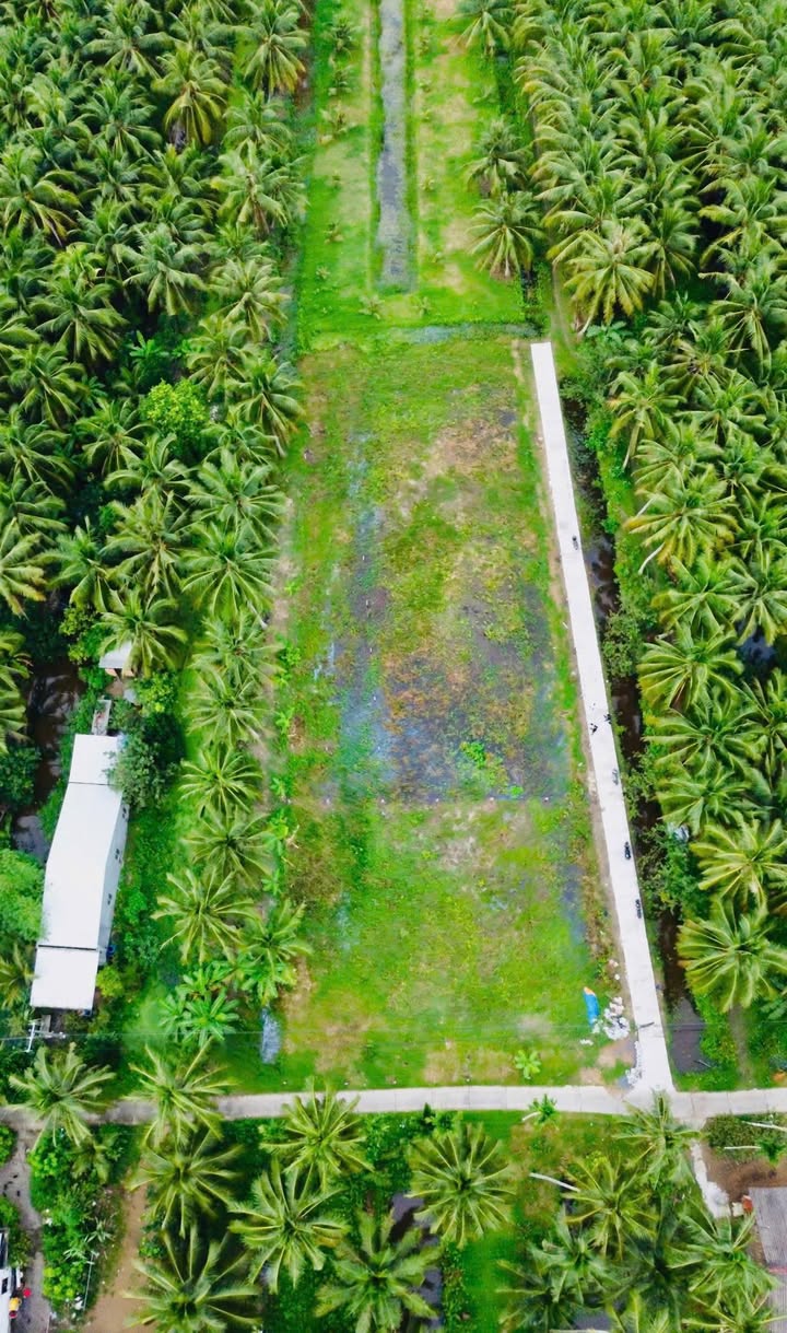 Đất nền Trà Vinh 100m² 250 triệu - Đất thổ cư 100%!