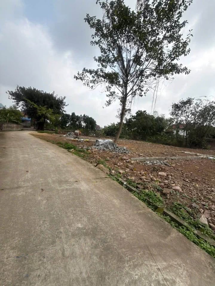 Bán đất 85m² sổ đỏ Phường Vạn Xuân, Đông Anh - Đầu tư sinh lời