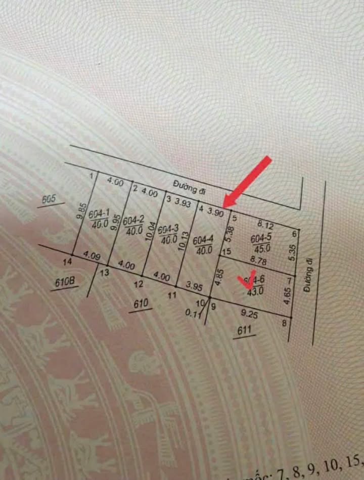 Đất Nền F0 Hoài Đức 38m² - Ngõ Thông Ô Tô, Sổ Đỏ Sẵn Sàng