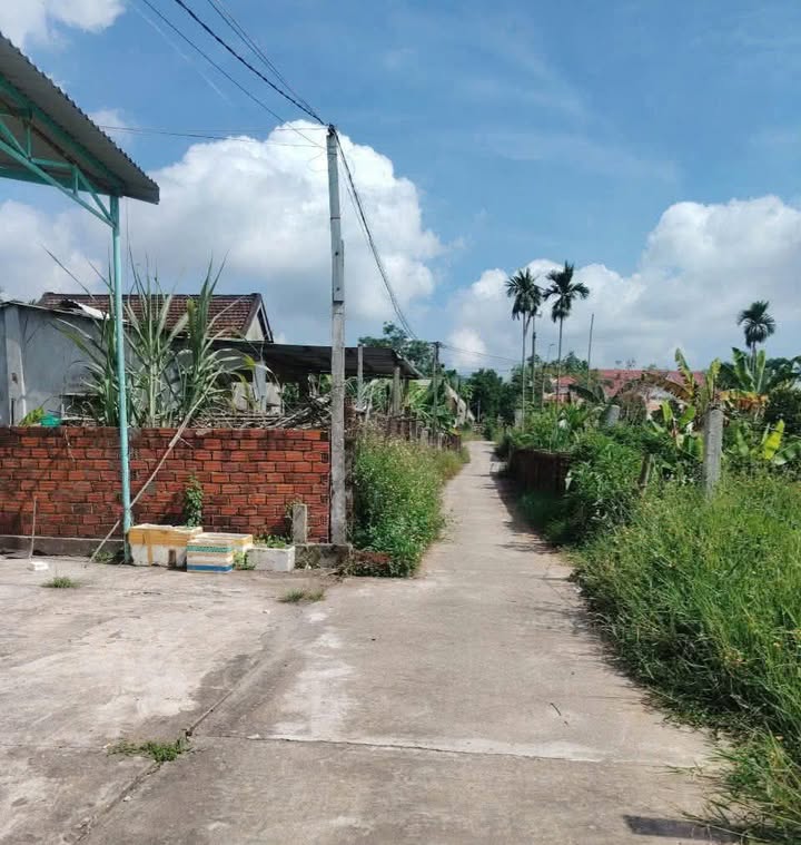 Đất nền Hòa Khánh Bắc 825m² giá chỉ từ 7xx triệu - Tiềm năng tăng giá!