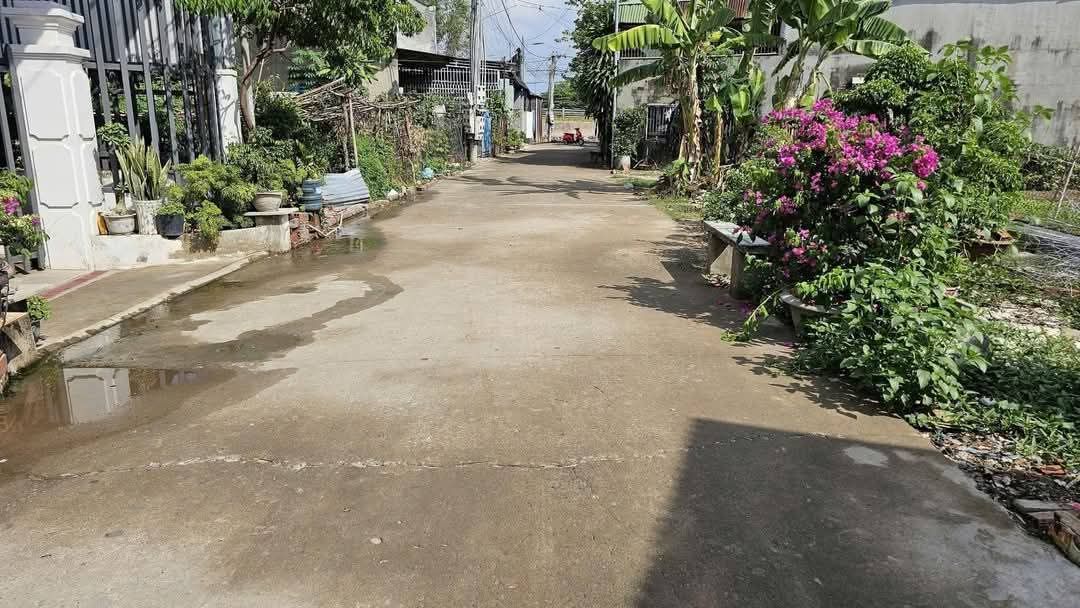 Đất Sổ Riêng 5x23m Ngay Xã Bình Minh, Trảng Bom - Giá 850 Triệu